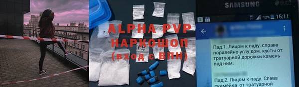 спиды Чекалин