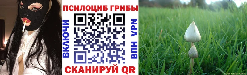 Галлюциногенные грибы Cubensis  Братск 