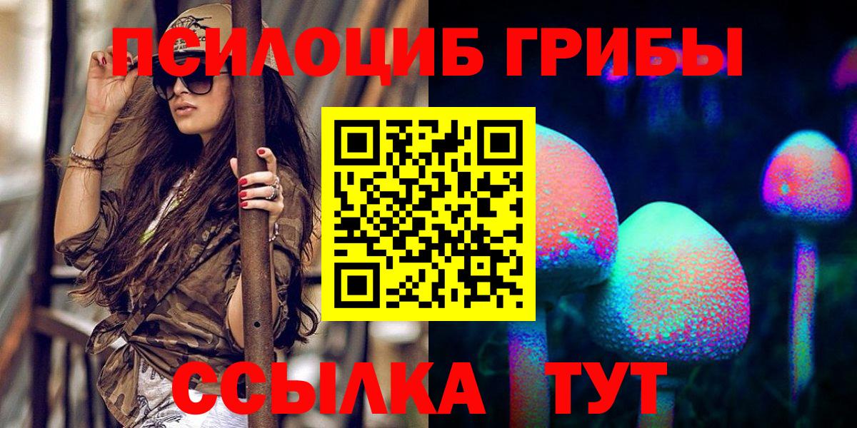Псилоцибиновые грибы GOLDEN TEACHER  Вход с VPN  Братск 